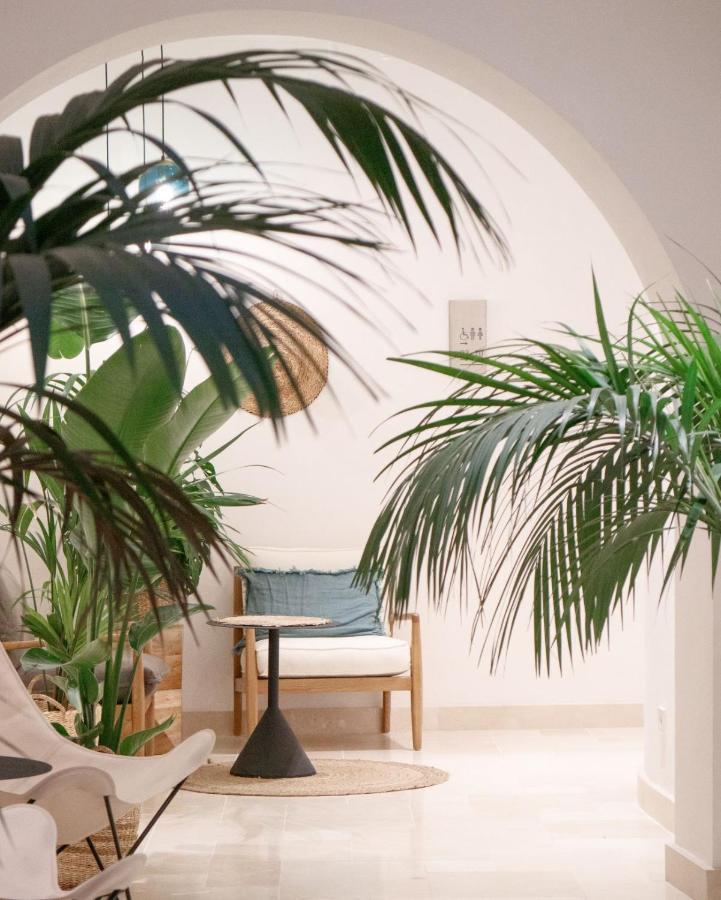 Casa Du Soleil Hostal Boutique Madrid Exteriör bild